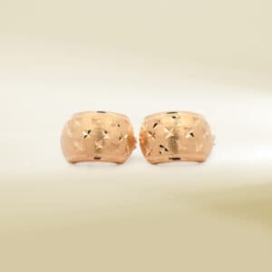 18K Yellow Gold Earrings