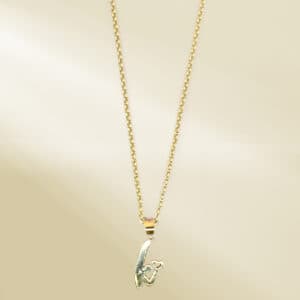 18K Yellow Gold Rolo Chain Necklace with Initial Pendant